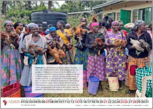 Dentists-for-Africa-Kalender 2025